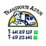 Mudanzas Transporteastur