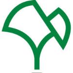 Biloba Projectum Construcción Biloba Projectum Construcción