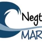 Antonio Negrin Antonio Negrin