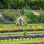 Jardinería Criser Jardinería Criser