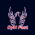 Dyn Fast Multiservicios