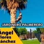 Flores Servicios Generales