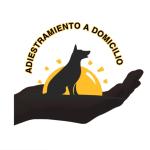 Adiestramientoadomicilioes Adiestramientoadomicilioes