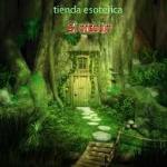 El Oraculo El Oraculo