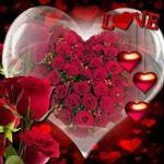 Susana Bg Susana Bg
