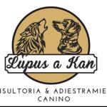 Lupusakan Lupusakan