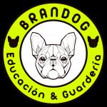 Brandog Educación Y Guarderia Brandog Educación Y Guarderia