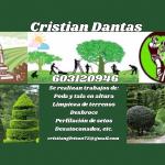 Cristian Gleyson Cristian Gleyson
