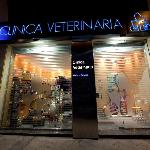 Clínica Veterinaria María J Cabeza Clínica Veterinaria María J Cabeza