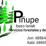 Piñupe Baso Lanak Piñupe Baso Lanak