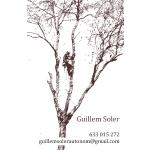 Guillem Soler Arboricultura