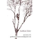 Guillem Soler Arboricultura Guillem Soler Arboricultura