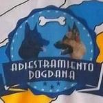 Adiestramiento Dogdana Adiestramiento Dogdana