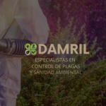 Damril Sanidad Ambiental Y Control De Plagas Damril Sanidad Ambiental Y Control De Plagas