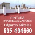 Pintores Edgard Mireles Pintores Edgard Mireles