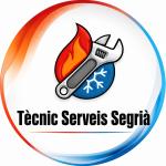 Tècnic Serveis Segrià