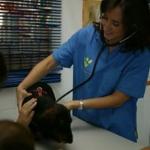 Centro Veterinario La Colina Centro Veterinario La Colina