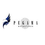 Pegama Detectives Pegama Detectives