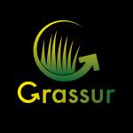 Grassur Césped Artificial Grassur Césped Artificial