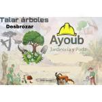 Servicios Forestal Y Jardinería