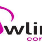 Show Lince Corporation Show Lince Corporation
