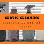 Cleaning Service Limpieza En General