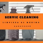 Cleaning Service Limpieza En General Cleaning Service Limpieza En General