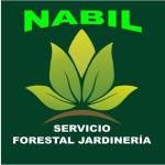 Nabil Servicios