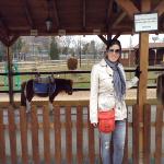 Lissi Garcia Lissi Garcia