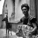 Frida F. Frida F.
