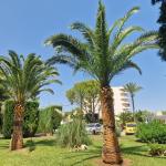 Beautyfull Gardens