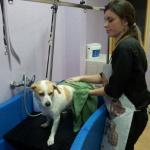 La Perrukeria Casasbuenas La Perrukeria Casasbuenas