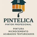 Pintor Profesional