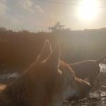 Gonzalo Martín Consuegra Rodríguez