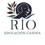 Rio  Educacion Canina Rio  Educacion Canina
