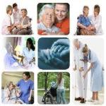 Servicios Geriatricos