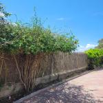 Diseños. Jardineria Y Mantenimientos Diseños. Jardineria Y Mantenimientos