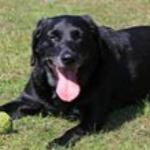 Jose Antonio Gonzalez Munoz