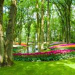 Jardines Guerrero Jardines Guerrero