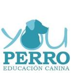 Youperro Educación Youperro Educación