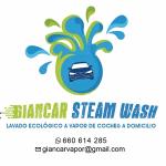 Gian Car Steam Wash
