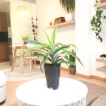 Botanical Home Deco