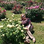 Florica Chitu Florica Chitu