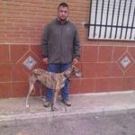 Raul Grande Moreno Raul Grande Moreno