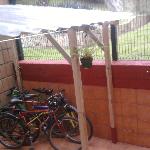 Ctineo Ctineo