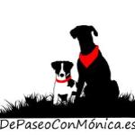 Depaseo Conmonica Depaseo Conmonica