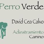 David Cea Calvo David Cea Calvo