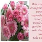 Milagro Chavarria Romero Milagro Chavarria Romero