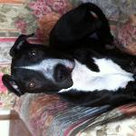 Anibal Arana Martínez