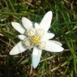 Maria Martinez Tudela Maria Martinez Tudela